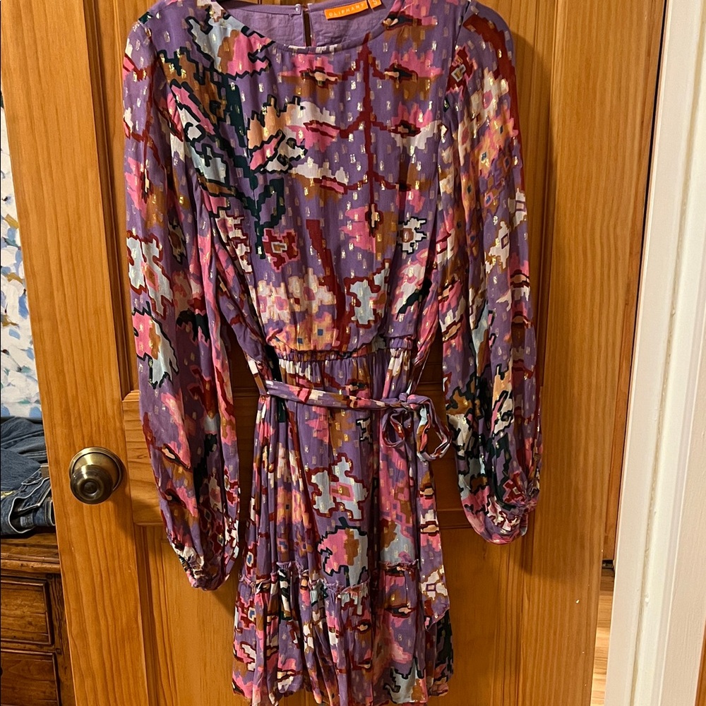 Oliphant Multicolor Floral Mini Dress